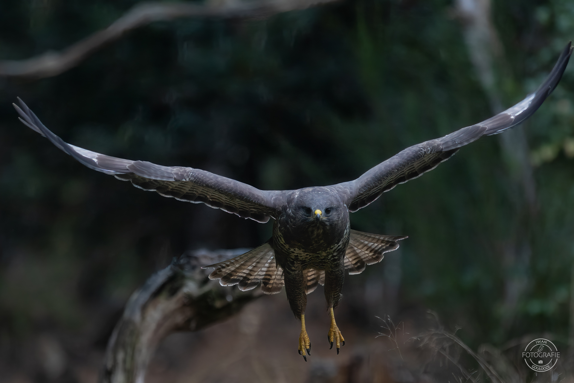 23 oktober 2022 095352 1R2A9238 bewerkt bewerkt